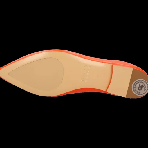 Alora 4