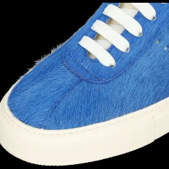 Harvey 68