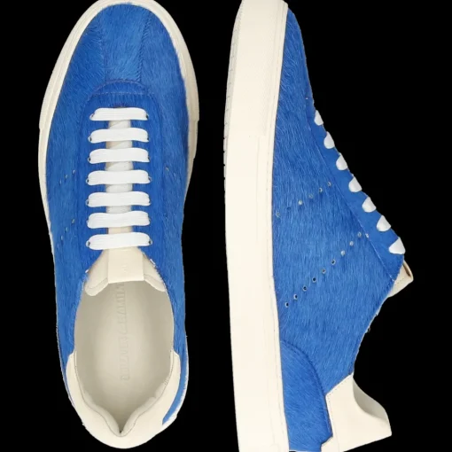 Harvey 68